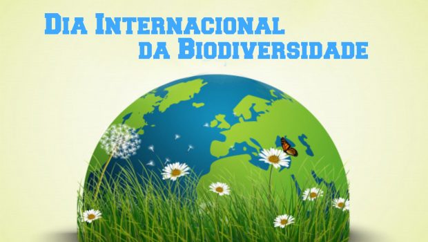 NO DIA 22 DE MAIO É COMEMORADO O DIA INTERNACIONAL DA BIODIVERSIDADE