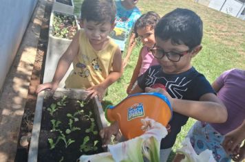 CRECHE PROFª.ROSA AGUILAR REALIZA PROJETO COM OS ALUNOS “CULTIVANDO ALIMENTOS”