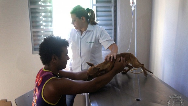 Clínica Veterinária da Prefeitura começou a atender animais necessitados