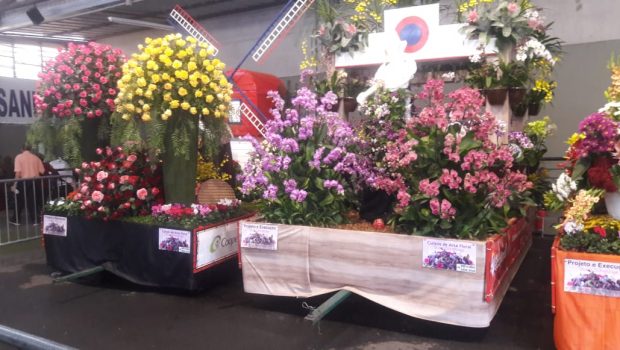 CENTRO DO IDOSO VAI PARA CIDADE DAS FLORES