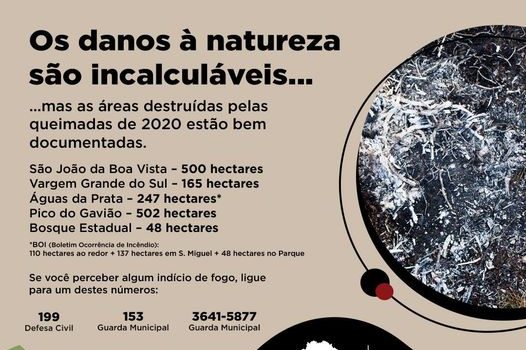 A ÉPOCA AGORA É DE QUEIMADAS !