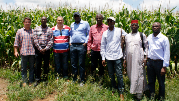 Grupo do Senegal vem a Vargem em busca tecnologias para a agricultura