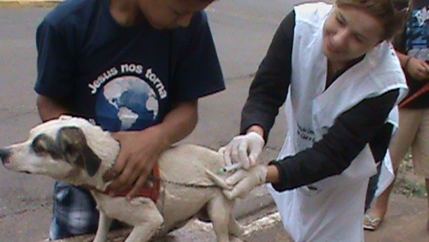 Mais de 8 mil animais foram vacinados contra raiva em Vargem