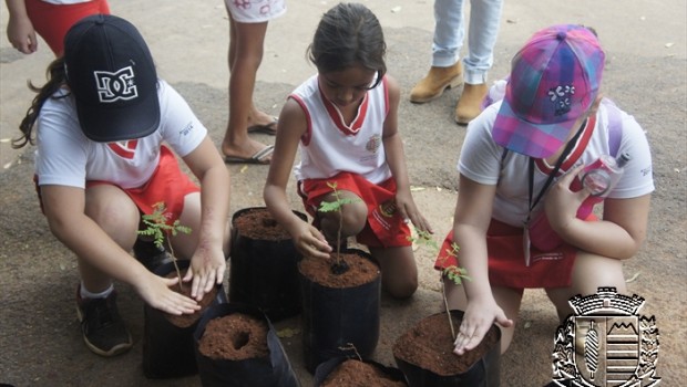 Alunos da escola Darci Troncoso Peres visitaram o Viveiro Municipal