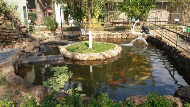Lagos do zoológico passam por recuperação