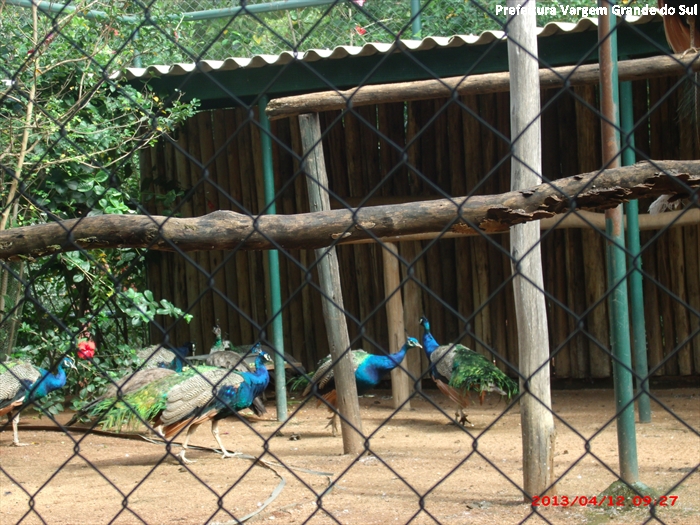 Zoológico reabre neste fim de semana