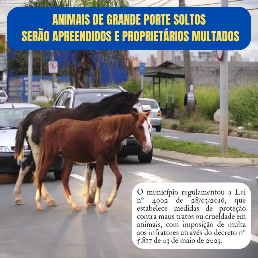 ANIMAIS DE GRANDE PORTE SOLTOS SERÃO RECOLHIDOS E OS PROPRIETÁRIOS MULTADOS