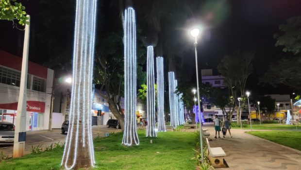AS LUZES DE NATAL FORAM ACESAS EM VARGEM GRANDE DO SUL