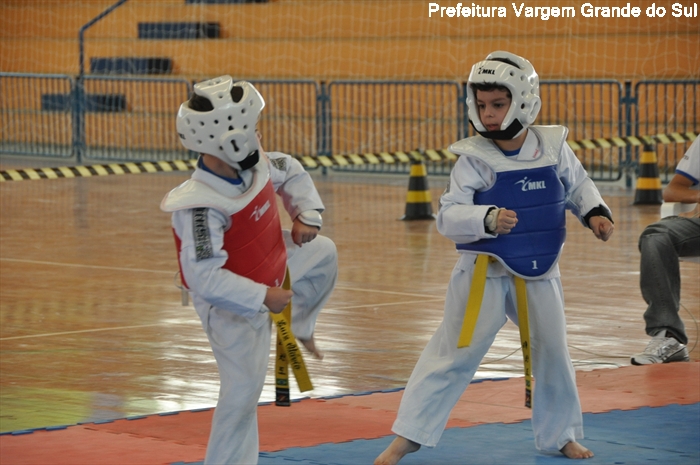 Artes Marciais retoma os treinamentos para 2012