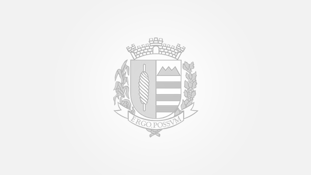 Campanha de Vacinação de Cães e Gatos