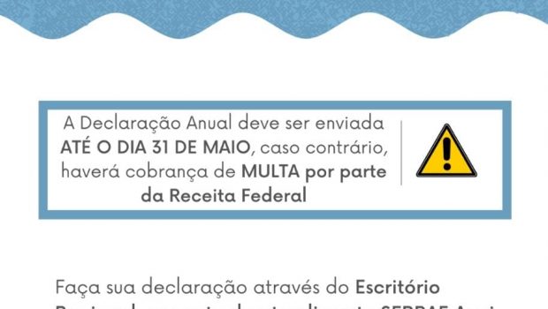 MEIS QUE A DECLARAÇÃO ANUAL DEVE SER ENVIADA ATÉ O DIA 31 DE MAIO