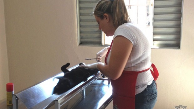 Clínica Veterinária terá mudança nos horários de atendimento
