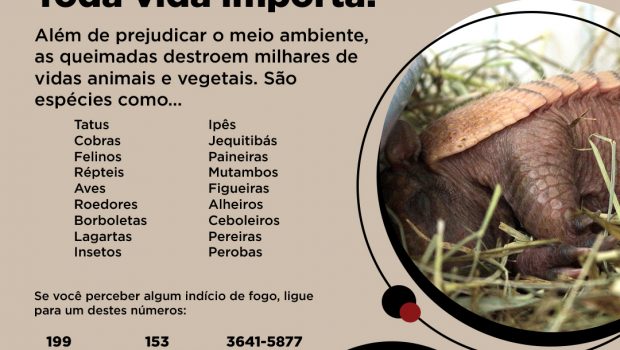 O fogo mata!