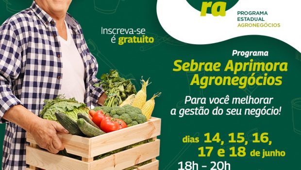 PROGRAMA GRATUITO A GESTÃO EM AGRONEGÓCIOS DO SEBRAE