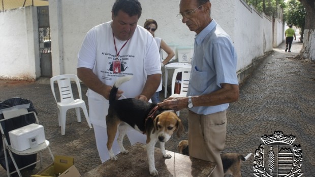 Vacinação de cães e gatos na zona rural começa na segunda-feira, dia 17