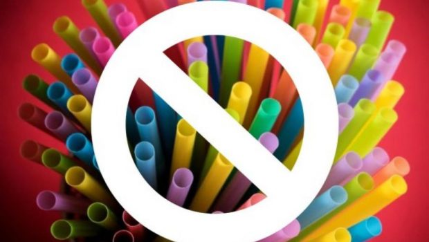 LEI ESTADUAL PROIBE A VENDA DE CANUDOS PLÁSTICOS