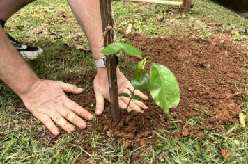 28 MUDAS DE ÁRVORES FRUTÍFERAS FORAM PLANTADAS EM AÇÃO DE EDUCAÇÃO AMBIENTAL NA ESCOLA ALEXANDRE FLEMING