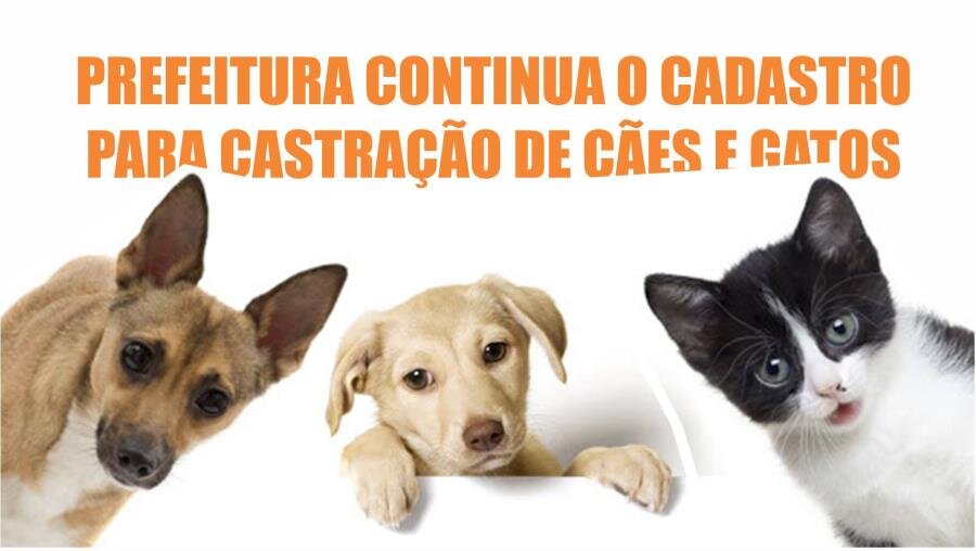 PREFEITURA CONTINUA COM  CADASTRO PARA CASTRAÇÃO DE CÃES E GATOS