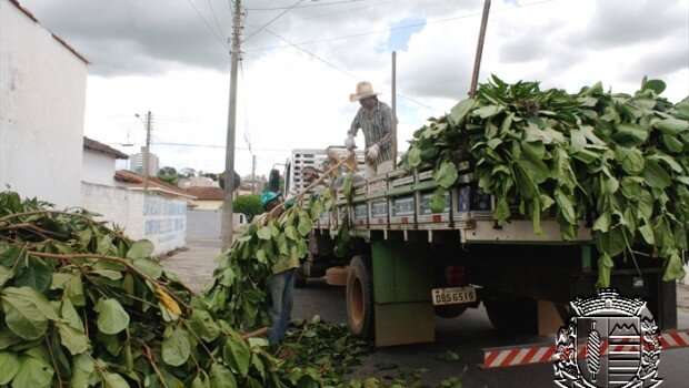 DSUR prossegue com Operação Cata Galho