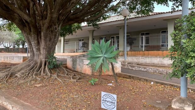 VARGEM GRANDE DO SUL INICIA A IMPLANTAÇÃO DO “ESPAÇO ÁRVORE”