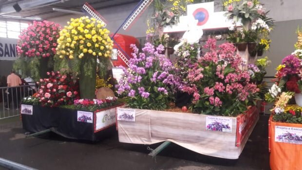CENTRO DO IDOSO VAI PARA CIDADE DAS FLORES