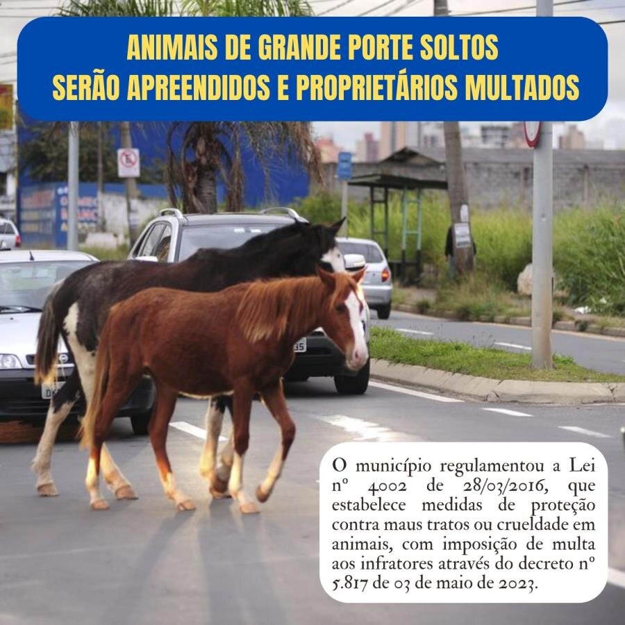 ANIMAIS DE GRANDE PORTE SOLTOS SERÃO RECOLHIDOS E OS PROPRIETÁRIOS MULTADOS