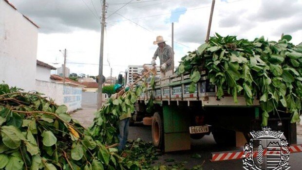 DSUR realiza Operações Cata-Galho e Cata Bagulho