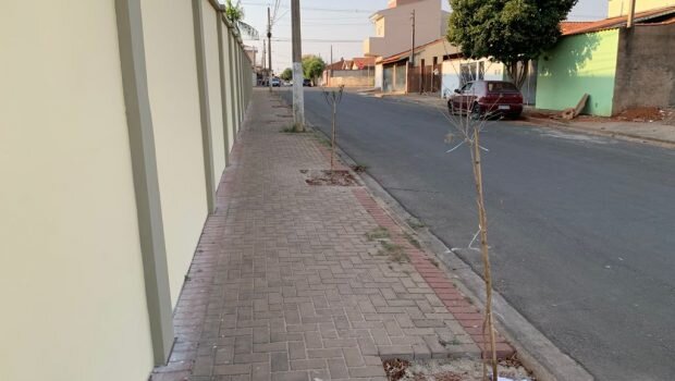 VARGEM IMPLANTA PROJETO PILOTO DE FLORESTA URBANA NA ESCOLA NAIR BOLONHA