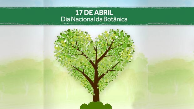 DEPARTAMENTO DE MEIO AMBIENTE FALA SOBRE O DIA NACIONAL DA BOTÂNICA