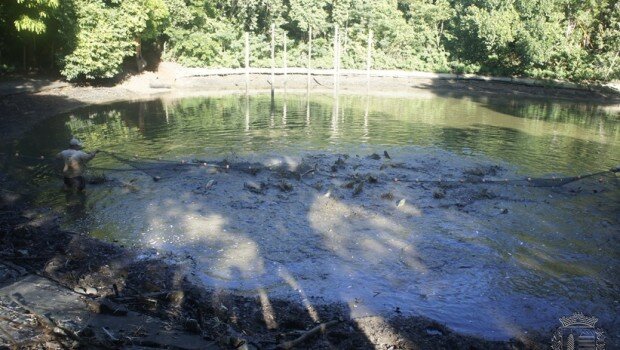 Prefeitura realiza manutenção no lago do Bosque Municipal