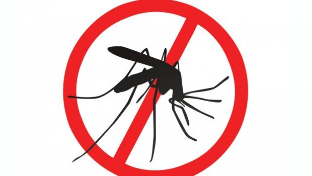 Dengue: o combate é responsabilidade de todos