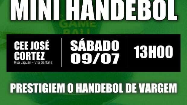 2º FESTIVAL DE MINI HANDEBOL EM VARGEM