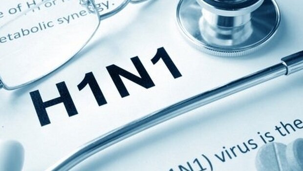 Vacinação contra a Influenza H1N1 será dividida em etapas