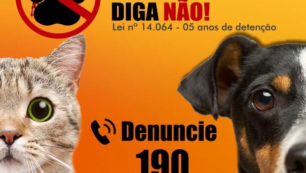 MAUS-TRATOS E ABANDONO DE ANIMAIS É CRIME
