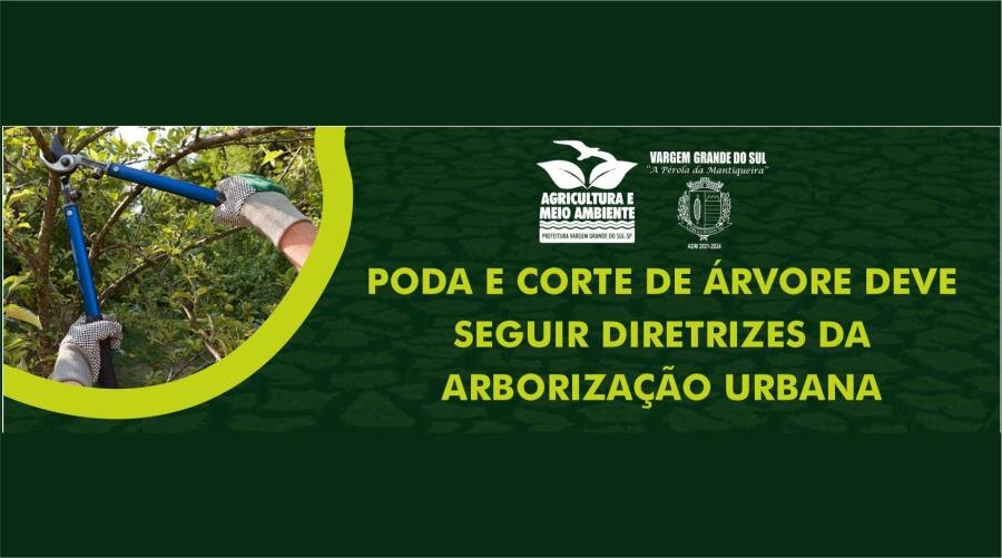 PODA E CORTE DE ÁRVORE DEVE SEGUIR DIRETRIZES DA ARBORIZAÇÃO URBANA